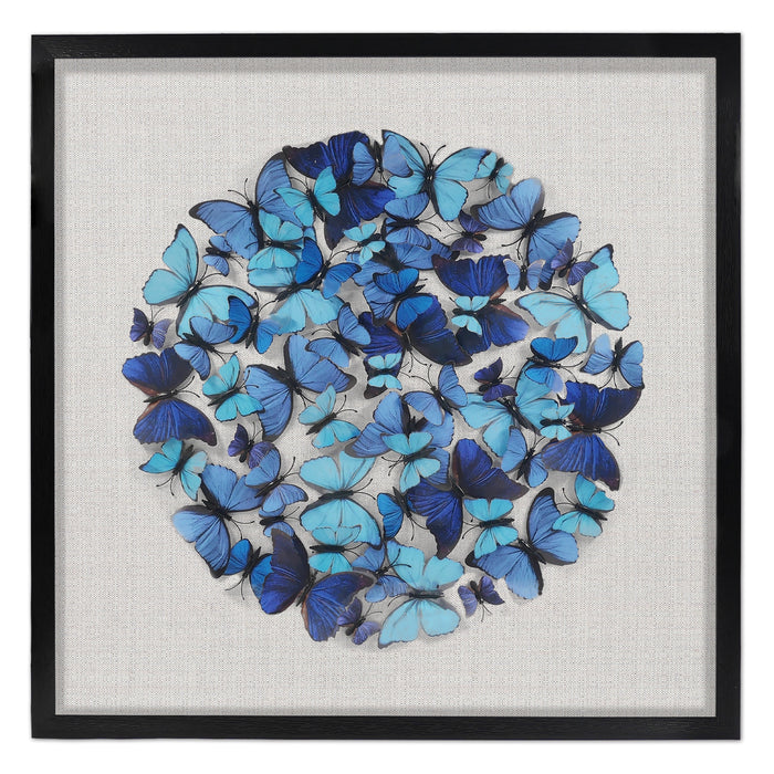 Morpho Butterflies Wall Art Décor Black Frame w/ Glass Cover
