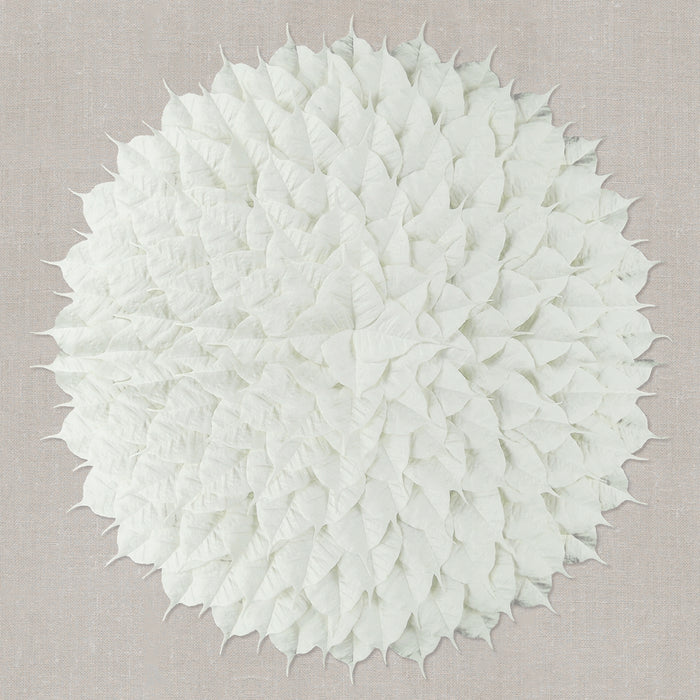 Modern Wall Art White Flower Petal Overlapping Pattern Home Decor Shadow Box