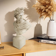 Statue bust on a wooden surface with books and a vase in the background.