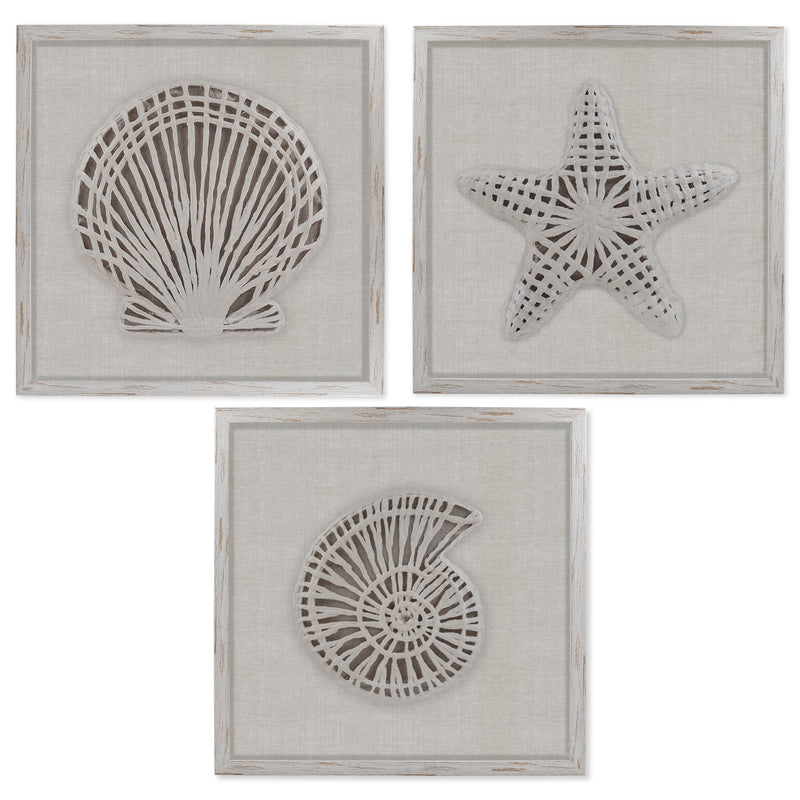 Framed Coastal Beach Wall Art Set Seashell Wall Hangings with Linen Backing Contemporary Home Decor