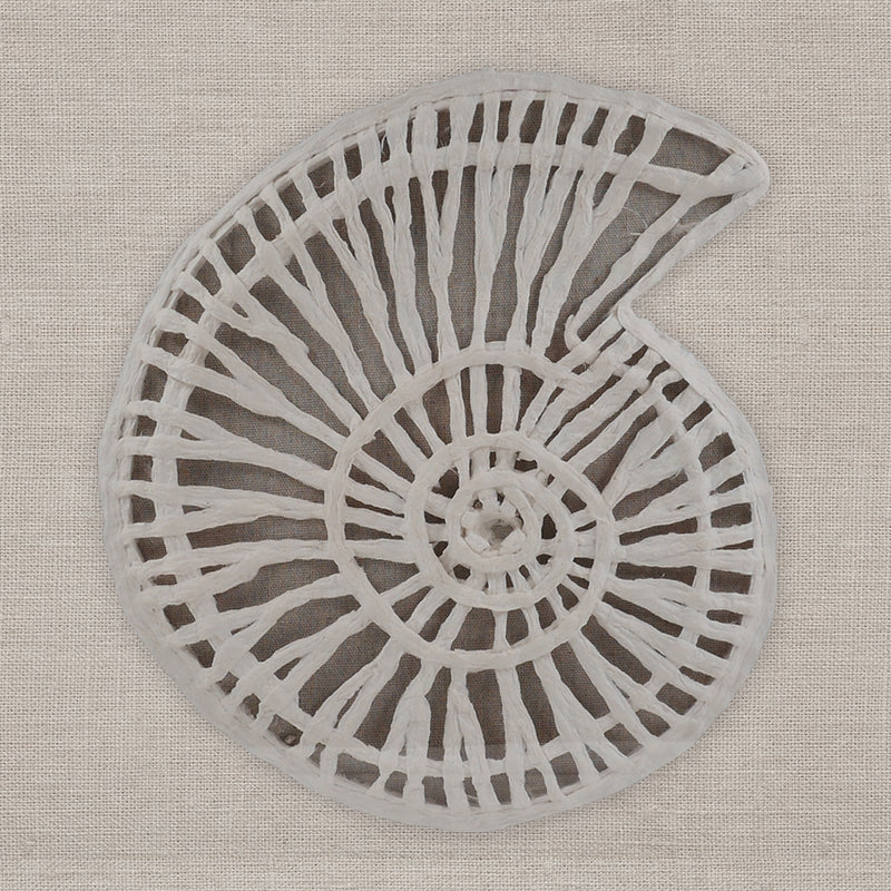 Framed Coastal Beach Wall Art Set Seashell Wall Hangings with Linen Backing Contemporary Home Decor