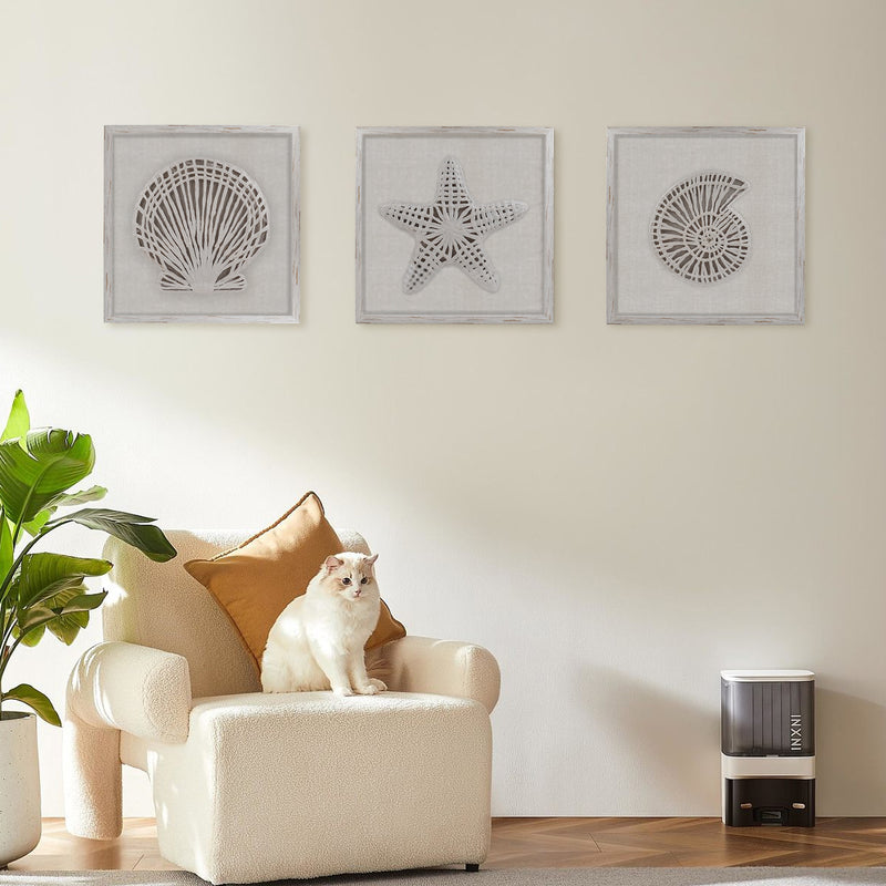 Framed Coastal Beach Wall Art Set Seashell Wall Hangings with Linen Backing Contemporary Home Decor