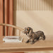 Dachshund statues are beautifully crafted in resin with charming details of paper-cutting style carving.