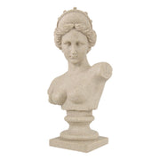 Statue bust of a classical woman on a white background