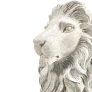 The lion sculpture is made from resin, with a beige finish that enhances its intricate textures.