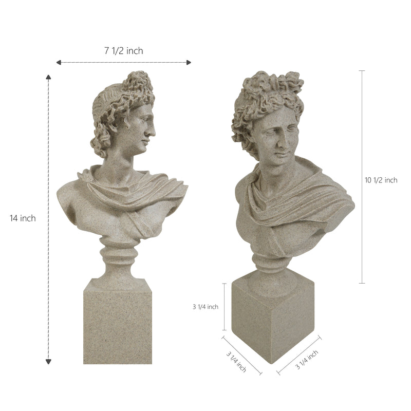 Two classical busts with dimensions indicated on a white background.