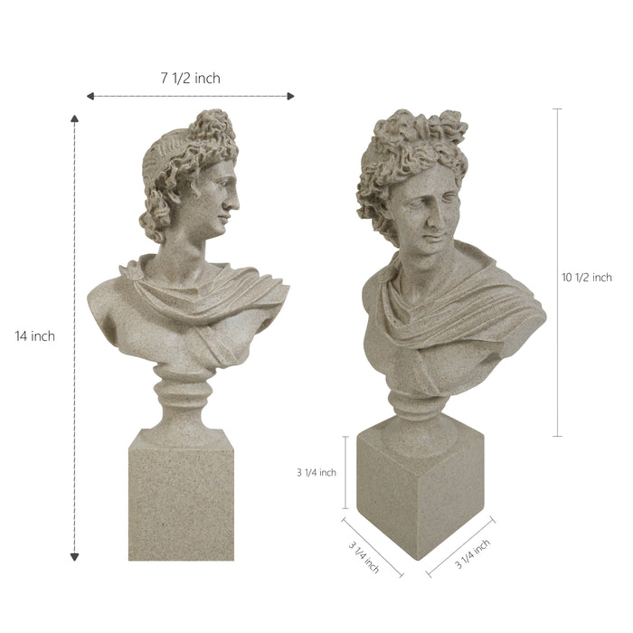 Two classical busts with dimensions indicated on a white background.