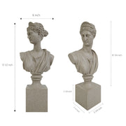 Two stone busts with dimensions indicated on a white background.