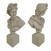 Stone Apollo busts on square plinths against a white background.