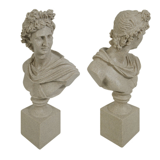 Stone Apollo busts on square plinths against a white background.