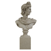 Stone Apollo bust of a classical figure on a white background.