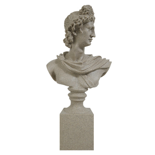 Stone Apollo bust of a classical figure on a white background.