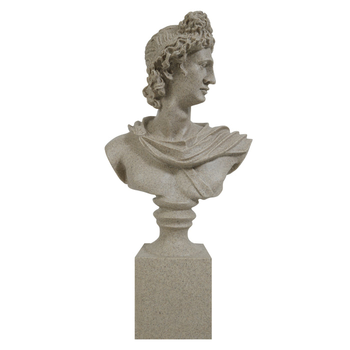 Stone Apollo bust of a classical figure on a white background.