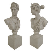 Two stone Diana of Versailles busts on square plinths against a white background.