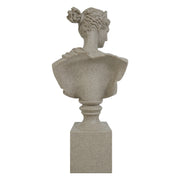 Stone bust of a classical figure on a white background