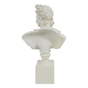 White classical bust sculpture on a white background.