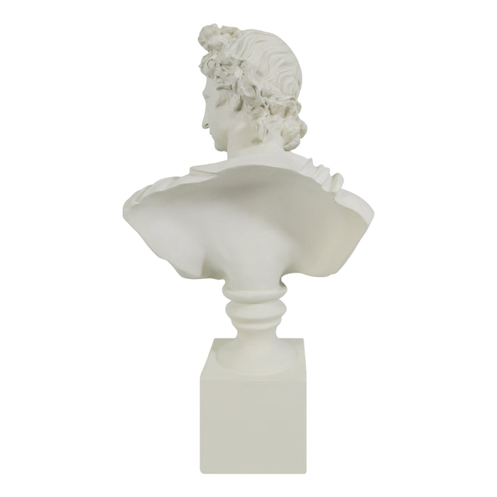 White classical bust sculpture on a white background.