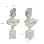 Two classical busts with dimensions indicated on a white background.