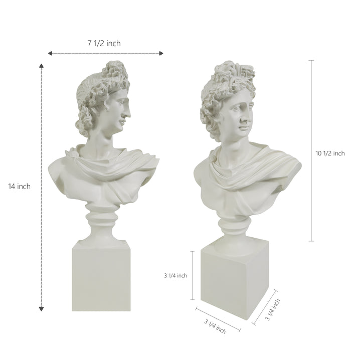 Two classical busts with dimensions indicated on a white background.