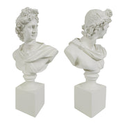 Two classical marble Apollo busts on square plinths against a white background.