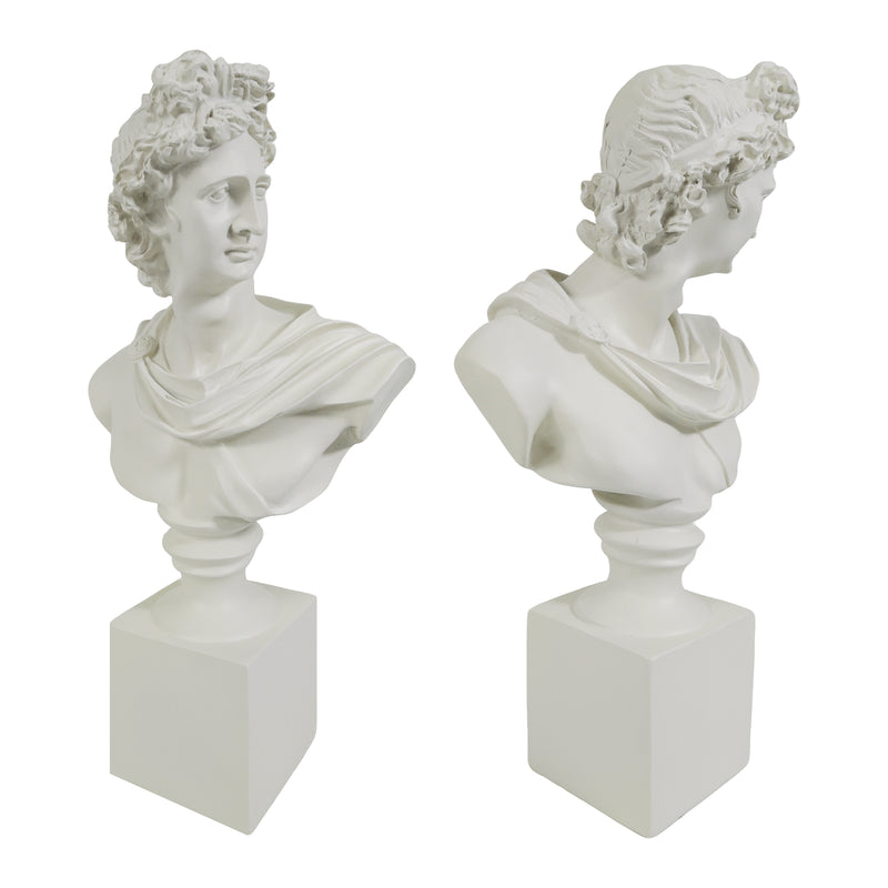 Two classical marble Apollo busts on square plinths against a white background.