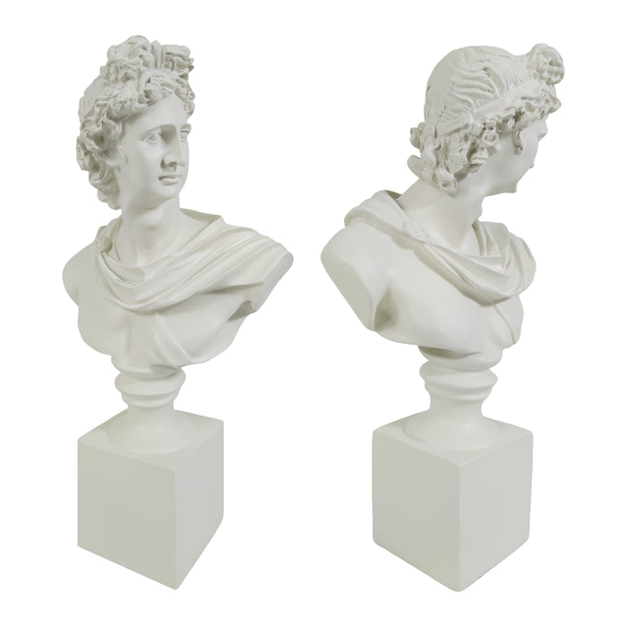 Two classical marble Apollo busts on square plinths against a white background.