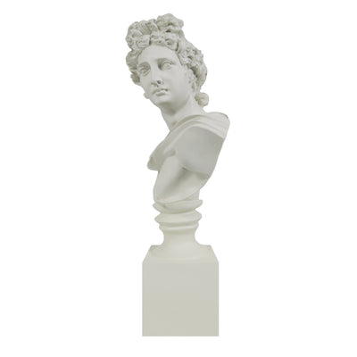 White marble Apollo bust of a classical figure on a white background.