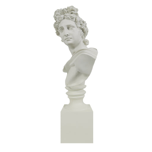 White marble Apollo bust of a classical figure on a white background.