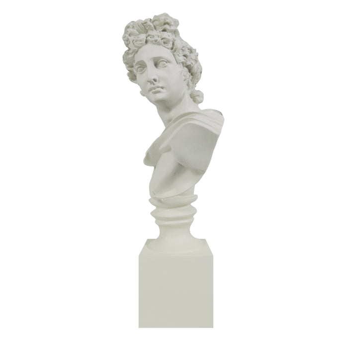White marble Apollo bust of a classical figure on a white background.
