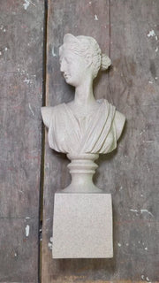 Customer Review on The Diana of Versailles Sculptural Bust