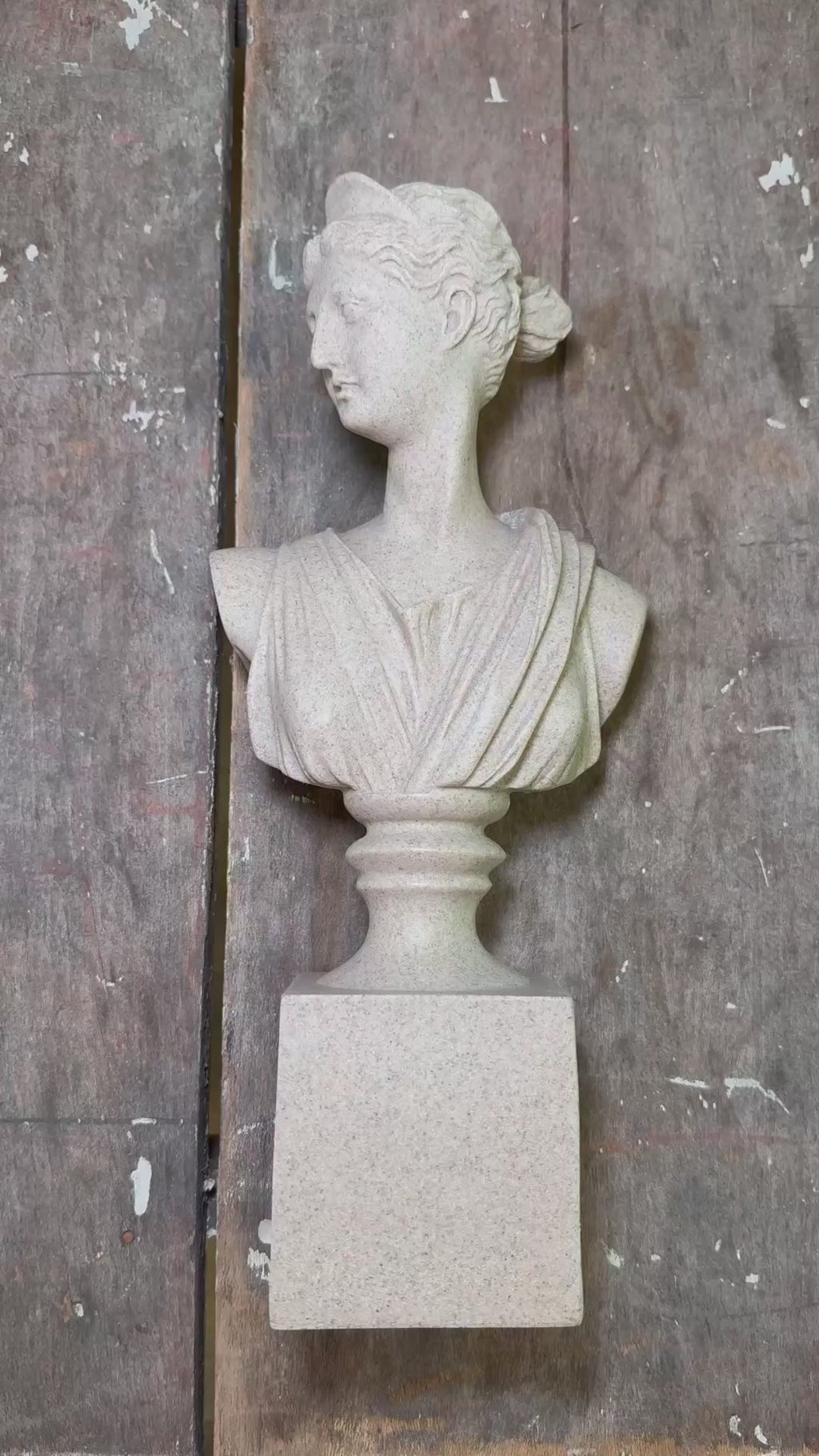 Customer Review on The Diana of Versailles Sculptural Bust