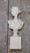 Customer Review on The Diana of Versailles Sculptural Bust