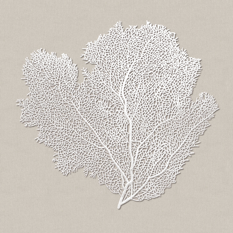 2 PCS Framed Wall Art Sea Fan Coral Beach Home Decor Shadow Box with Linen Backing