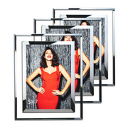Clear Picture Frames with Silver Borders