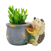 3'' Deep Hedgehog Design Succulent Pots for Home Garden Decor